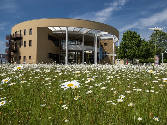 zu sehen ist das Medienzentrum mit der davor liegenden Wildwiese.