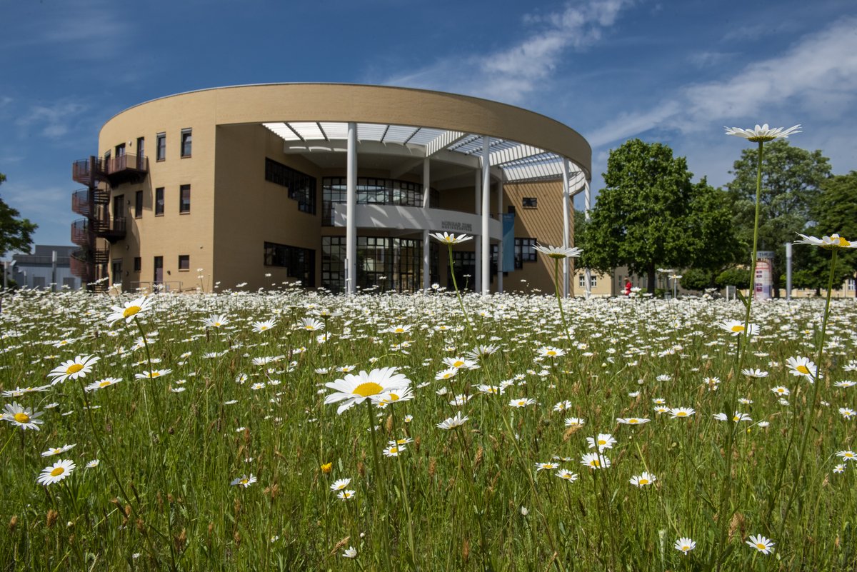 zu sehen ist das Medienzentrum mit der davor liegenden Wildwiese.