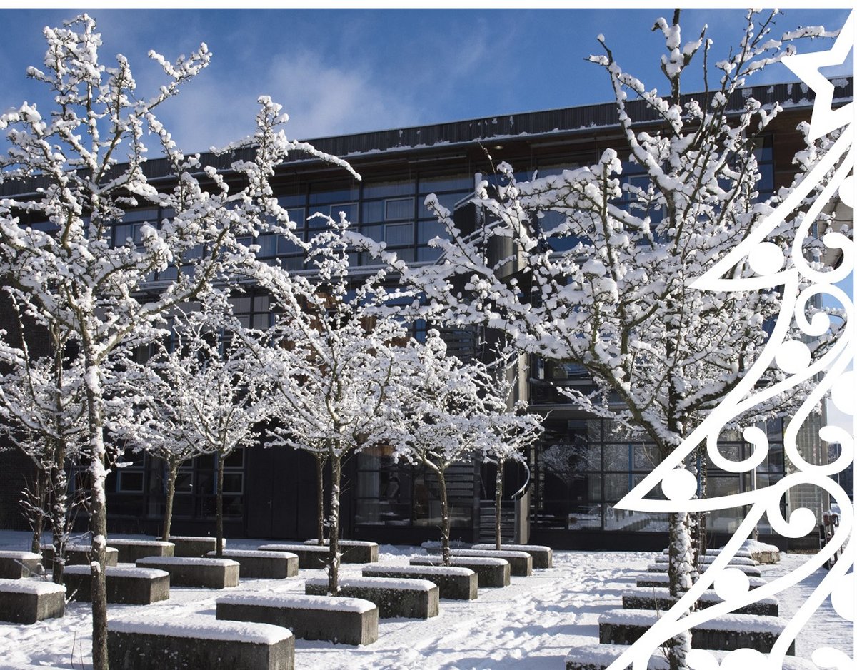 Weihnachtsmotiv: Fakultätsgarten im Schnee