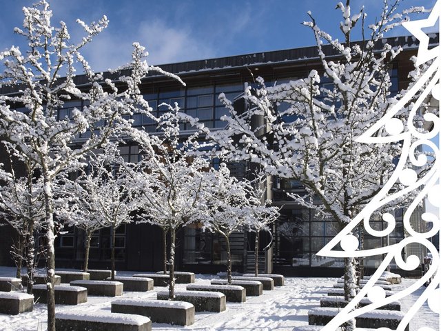 Weihnachtsmotiv: Fakultätsgarten im Schnee