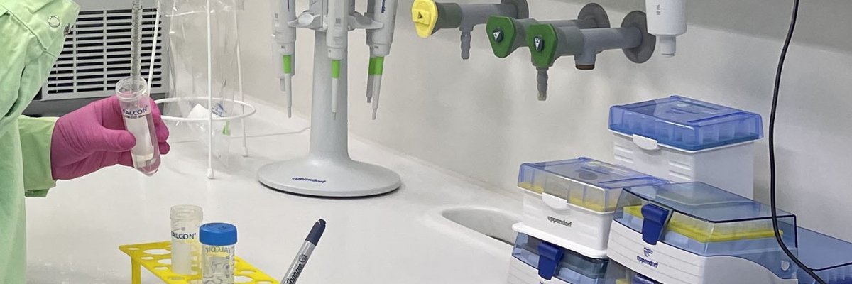 A typical molecular biology workstation is shown with a reaction tube rack and pipettes.