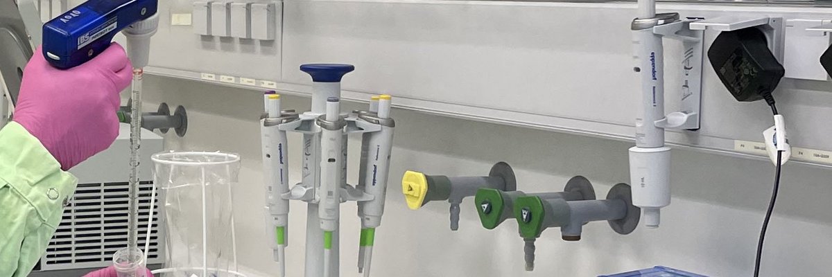 Es ist ein molekularbiologischer Arbeitsplatz zu sehen mit Pipetten. Eine Kollegin transferiert eine Pufferlösung mit einer automatisierten Pipettierhilfe.