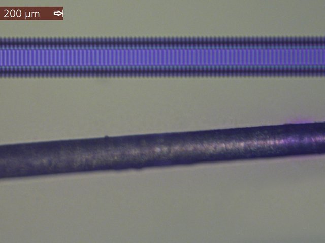 Die Mikroaktoren (oben) im Vergleich mit einem menschlichen Haar (unten).