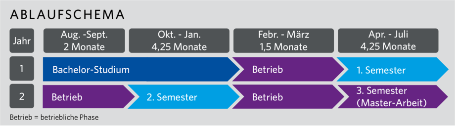 Ablaufschema für den dualen Master