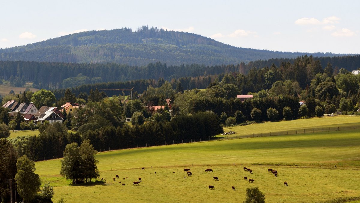 Biologische Vielfalt und Wohlergehen