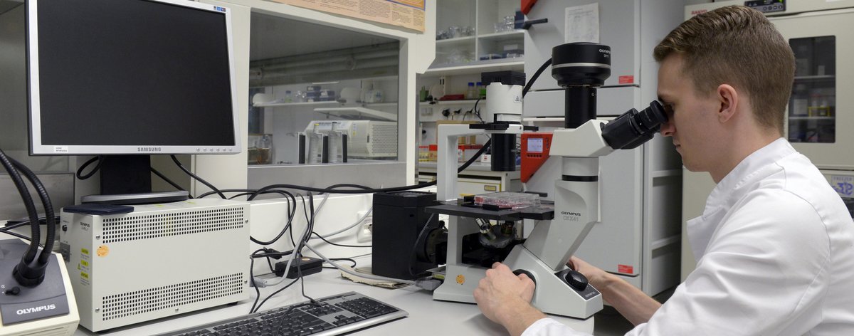 Biotechnology student Philipp Geppert examining tumorous tissue for a specific genetic defect in the laboratory