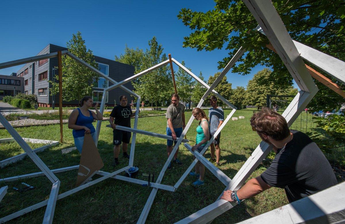 Wood sculpture under construction