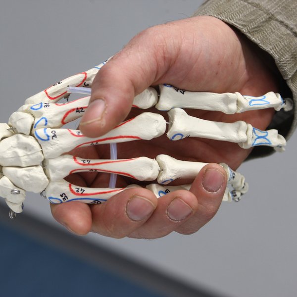 Eine Skeletthand grüßt eine Hand
