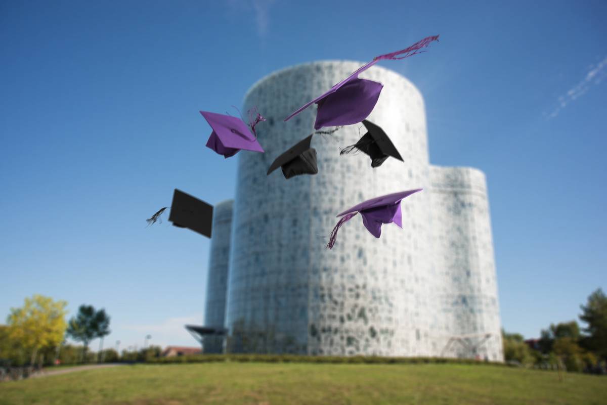 Wissenschaftlicher Nachwuchs