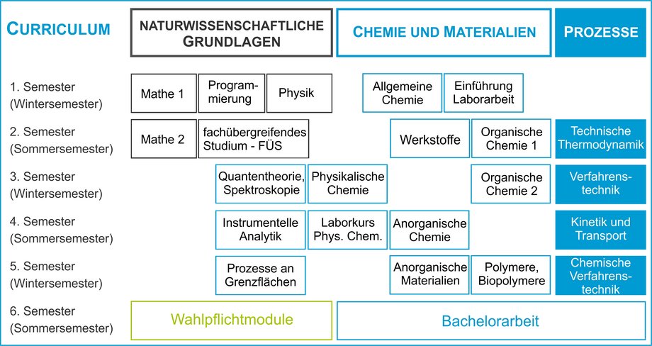 Studienablauf