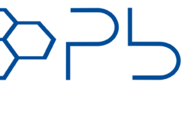 Logo des Fachgebiets Polymerbasierter Leichtbau - mit Abkürzung PbL ohne Untertitelung