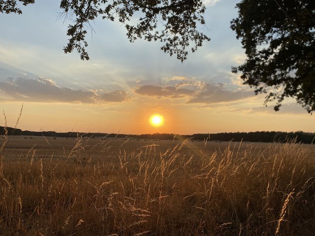 Sunset.