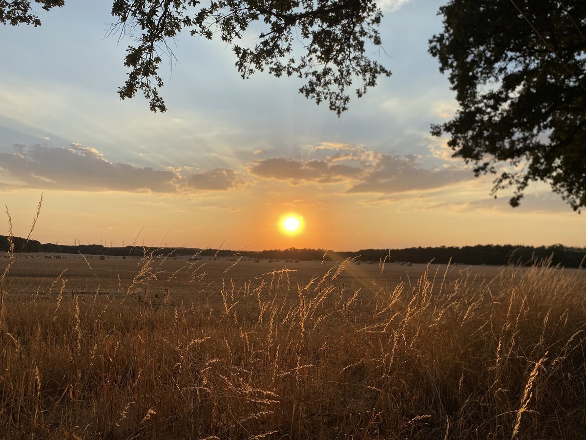 Sunset.