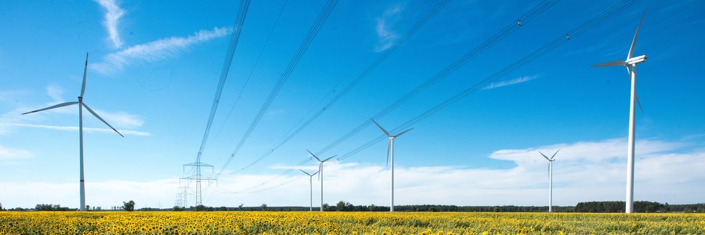 Hochspannungsleitung und Windräder auf einem Sonnenblumenfeld Über ein blühendes Sonnenblumenfeld spannt sich eine Hochspannungsleitung. Danneben stehen Windräder.