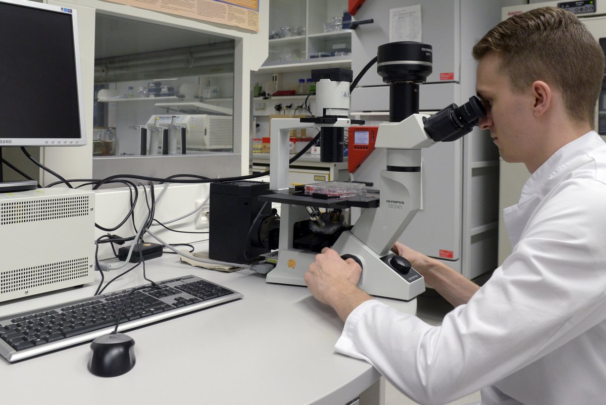 Der Biotechnologie-Student Philipp Geppert untersucht Tumorgewebe unter dem Mikroskop im Labor in Senftenberg auf einen spezifischen Gen-Defekt
