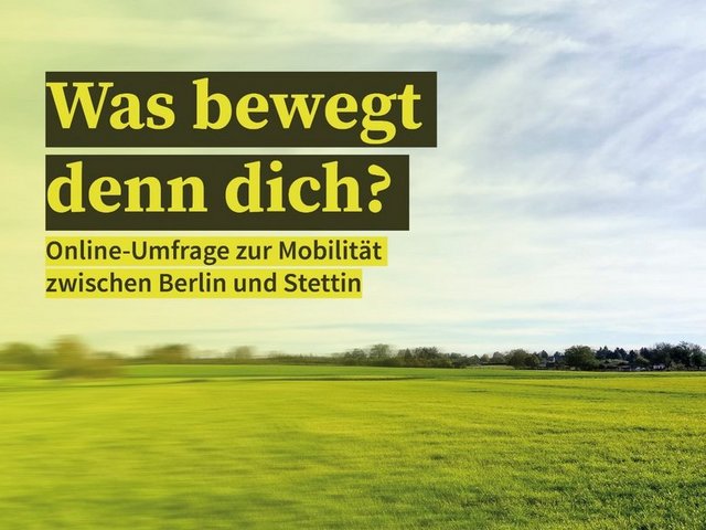 Slogan zur Umfrage