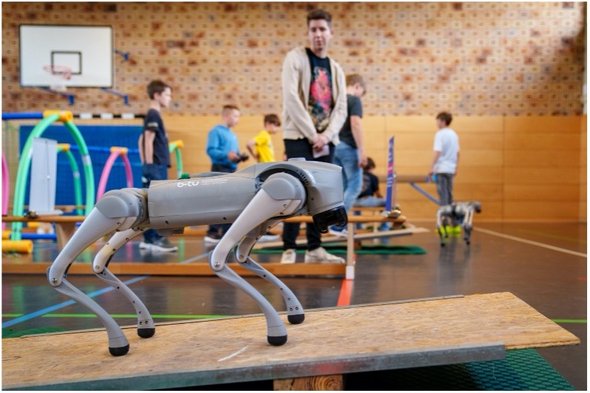 Geek Girls Geek Girls