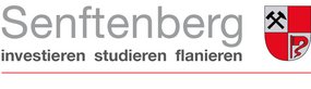 Logo - Stadt Senftenberg