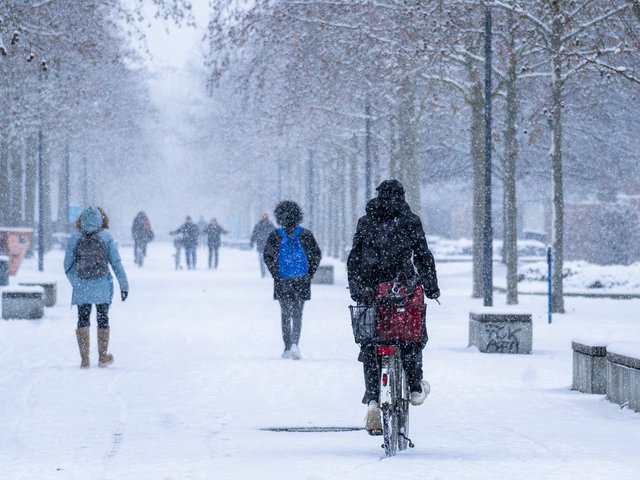 BTUers in snow on the Konrad-Wachsmann-Allee