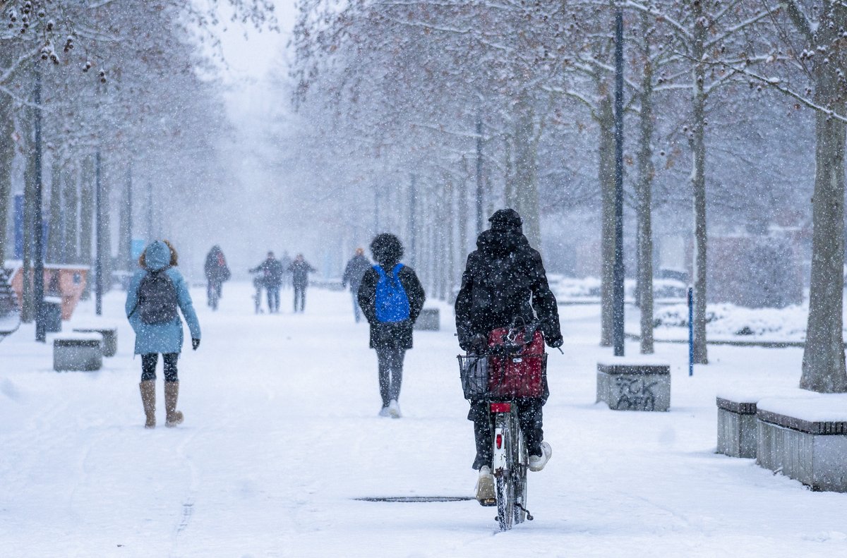 BTUers in snow on the Konrad-Wachsmann-Allee