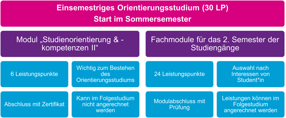 Infografik: Eigene Darstellung des Ablaufs des einsemestrigen Orientierungsstudiums
