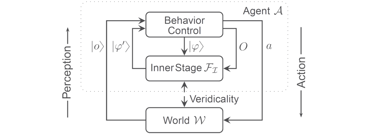 Quantum-inspired perception-action cycle of a cognitive agent