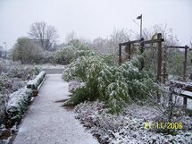 Der Fakultätsgarten ist zugeschneit