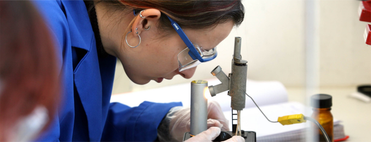 Studierende erwirbt Fachkompetenzen im Labor und lernt wissenschaftliche Arbeitsweisen kennen Studierende im Labor lernt wissenschaftliche Arbeitsweisen kennen
