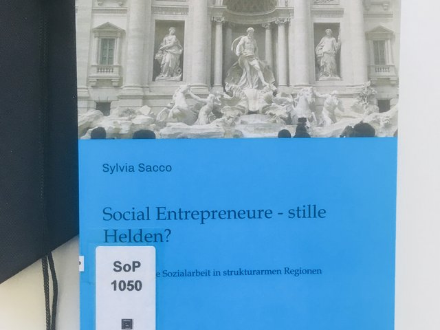 Social Entrepreneure – stille Helden? Selbstständige Sozialarbeit in strukturarmen Regionen