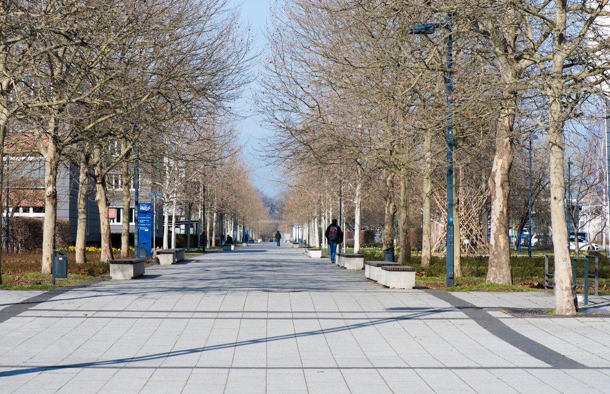 Konrad-Wachsmann-Allee mit wenig Studierenden