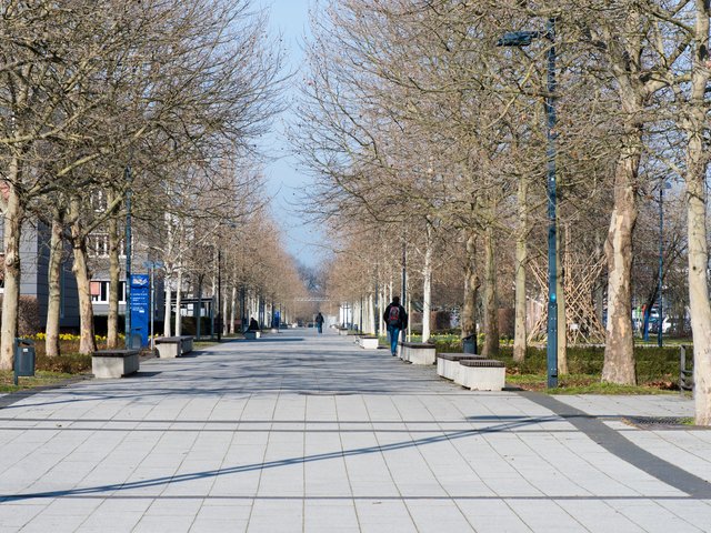 Konrad-Wachsmann-Allee mit wenig Studierenden