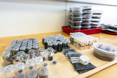 Auf einem Labortisch stehen zahlreiche kleine, beschriftete Kunststoff- und Glasbehälter mit Boden- und Sedimentproben. Im Hintergrund sind gestapelte Probenboxen zu sehen.