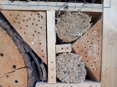 Insect hotel