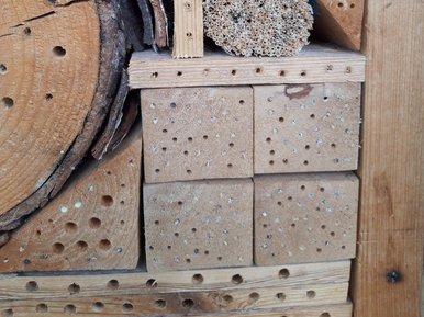 Insect hotel