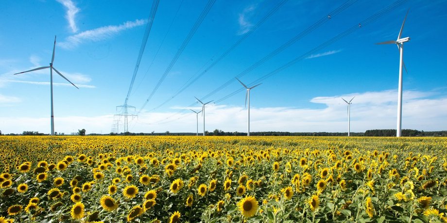  Übersetzen Sunflower field and wind turbines