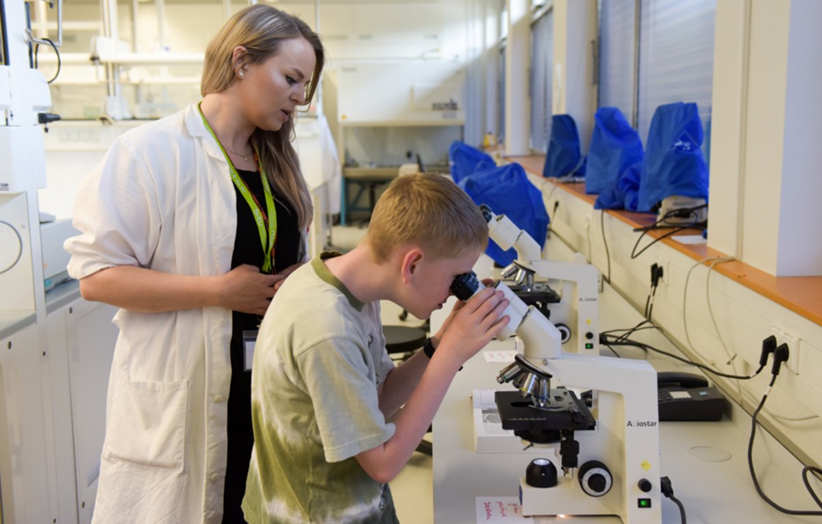 Fit für die Hausarbeit! Angebote für die Schule.