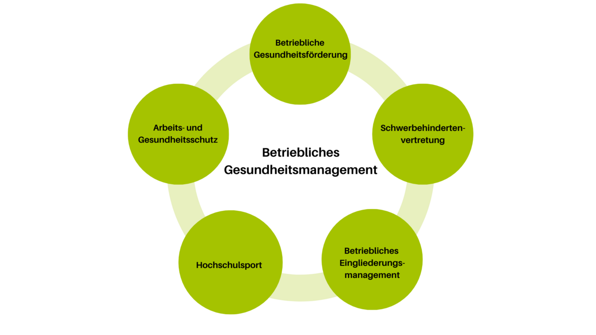 Die Komponenten des BGM: Arbeits- und Gesundheitsschutz, Betriebliches Eingliederungsmanagement, Betriebliche Gesundheitsförderung, Hochschulsport, Schwerbehindertenvertretung,Beratungs- und Unterstützungssystem
