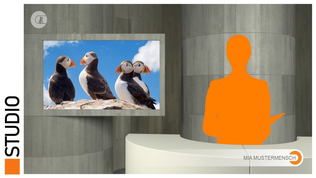 TV Studio Modeling & Background / von Kati Oettingshausen, Christof Trebschuh, Mohammad Shaar, Omar Darouzi, Ahmed Morad Helani, Majd Aizouky TV Studio Modeling & Background / von Kati Oettingshausen, Christof Trebschuh, Mohammad Shaar, Omar Darouzi, Ahmed Morad Helani, Majd Aizouky