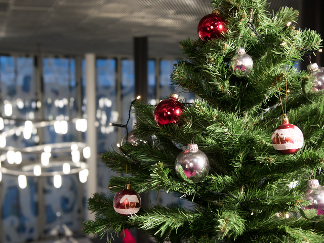 Adventstimmung mit Weihnachtsbaum im IKMZ