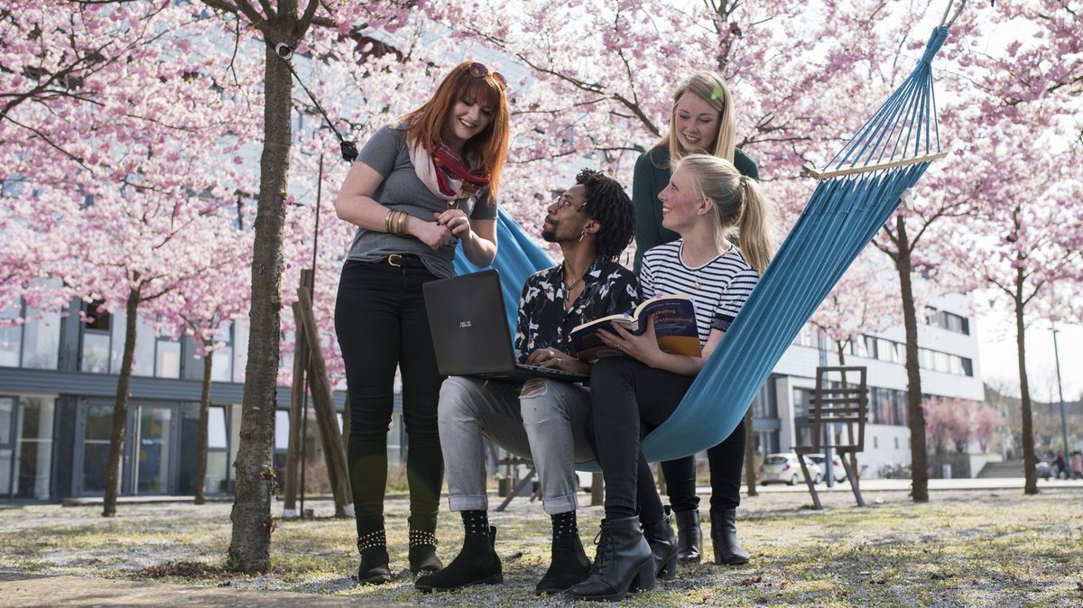Scholarships Btu Cottbus Senftenberg