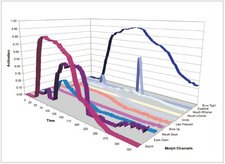 dynamic Information in facial expressions