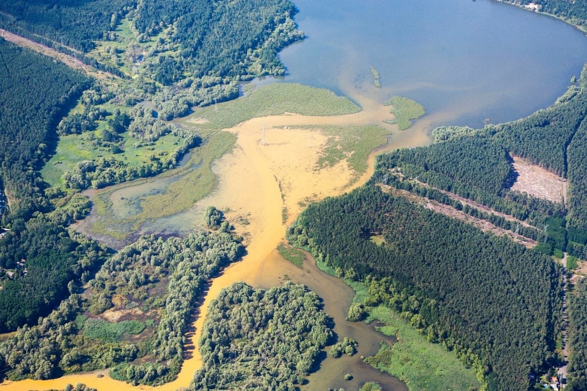 Einlaufwurzel der Talsperre Spremberg am 18. Juli 2017 (Foto: Rauhut)