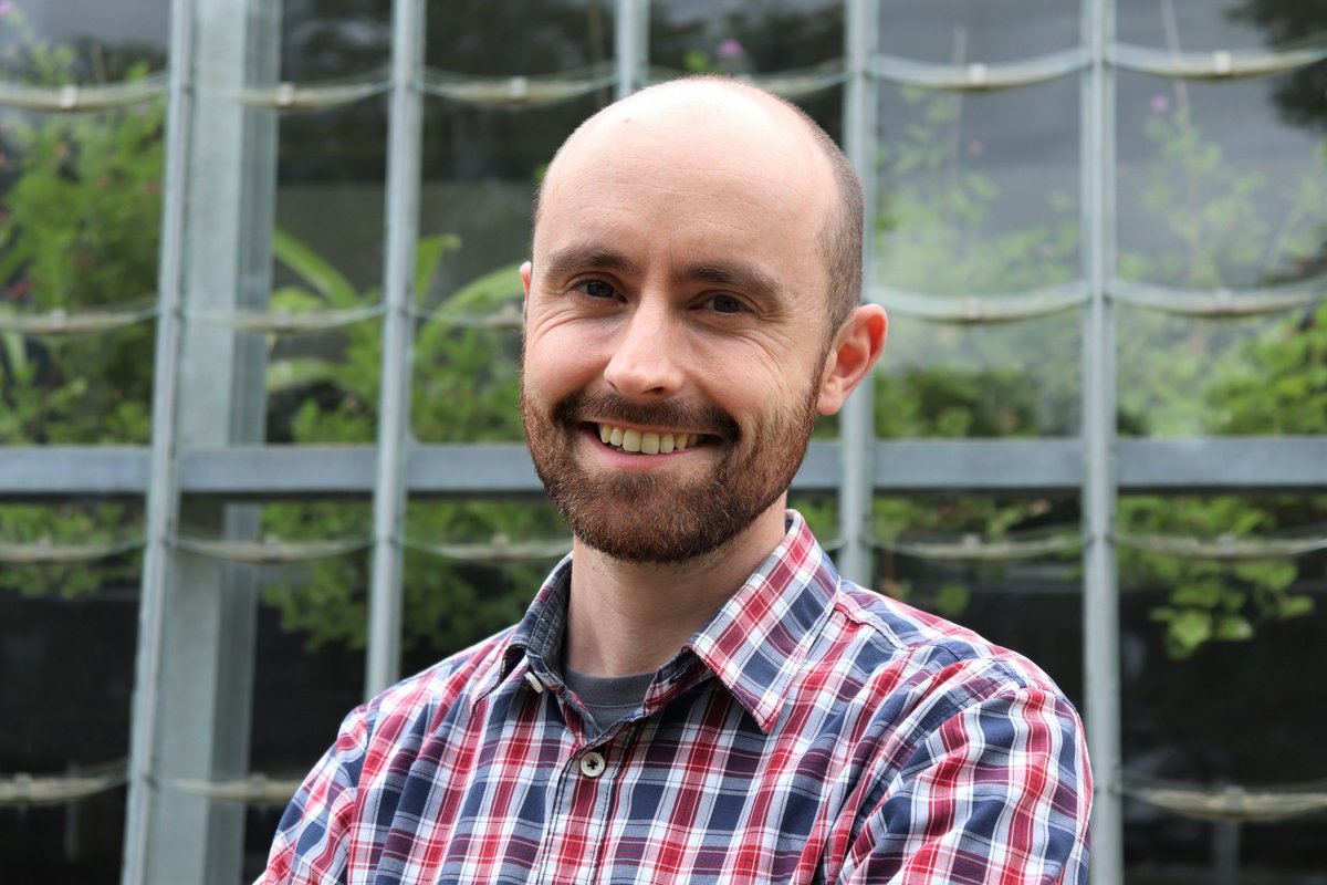 Porträtfoto von Christoph Haase.