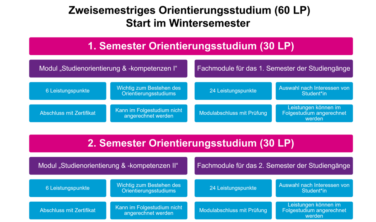 Infografik: Eigene Darstellung des Ablaufs des zweisemestrigen Orientierungsstudiums