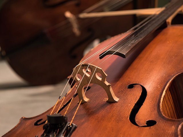 Musikinstrumente - im Vordergrund eien Geige.