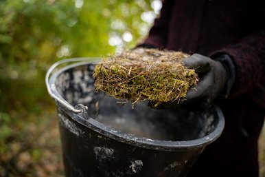 emptying the nest box