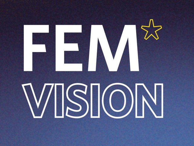 Logo FEM*Vision - Visionärinnen Salon