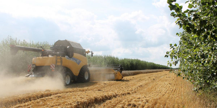 Agrarmaschine bewirtschaftet Feld