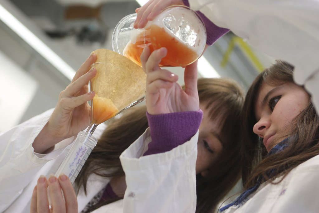 Schülerkurs "DNA-Isolierung aus Obst und Gemüse" Filtration