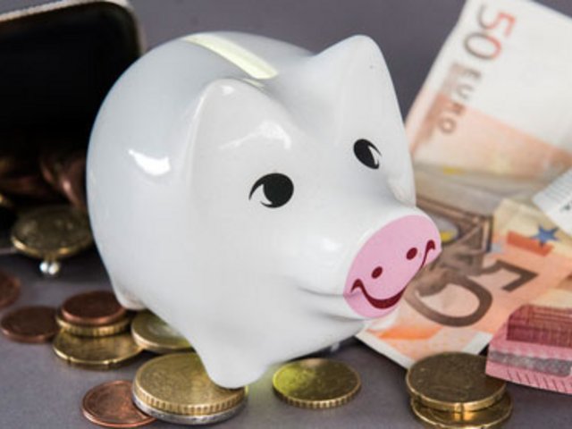 Auf dem Foto: ein Sparschwein mit Geldscheinen,